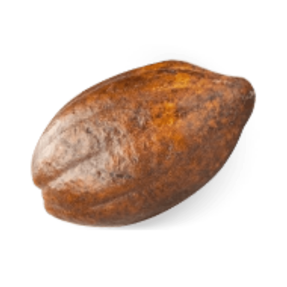 cocoa-rsc